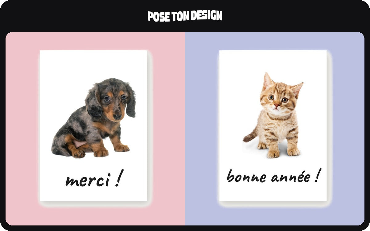 Custom postcards with your photo – Ten postcards with your dog's or cat's photo, and a back you can write on
