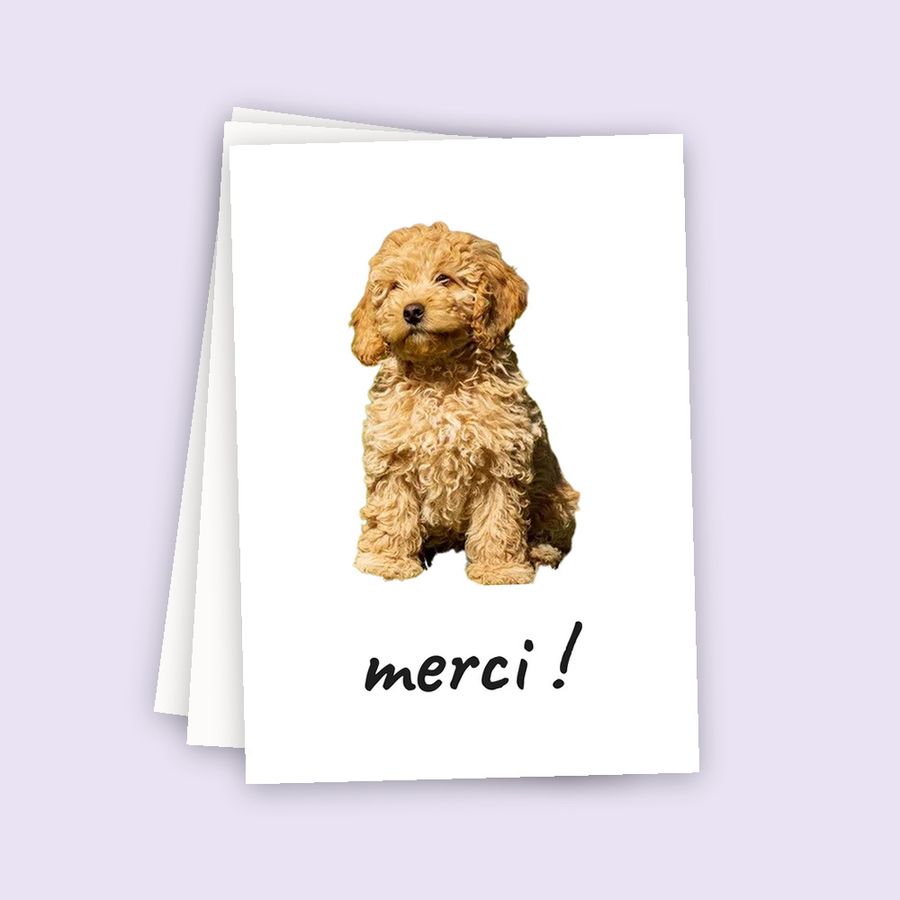 Personalised photo postcards, pack of 10
